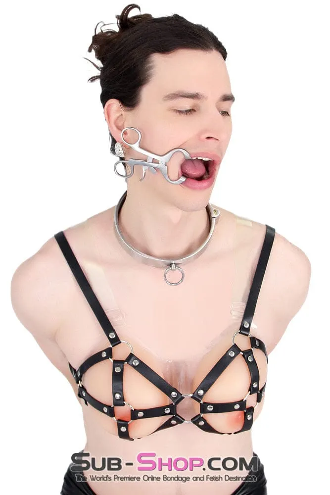 0634AR-SIS      Stainless Steel Lock Domme and Keys Sissy Boi Bondage Slave Collar