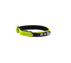 Bobby Lost Cat Collar - Yellow