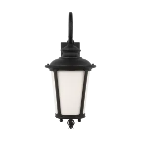 Cape May Large One Light Outdoor Wall Lantern