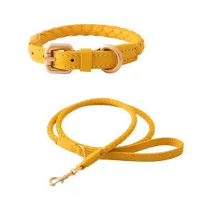 Deluxe Dessert Leather Weave Collar & Leash Set