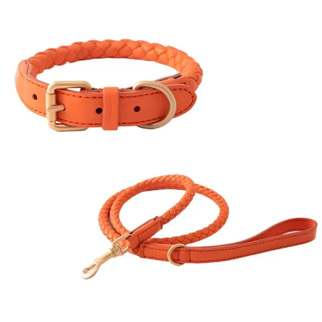 Deluxe Dessert Leather Weave Collar & Leash Set