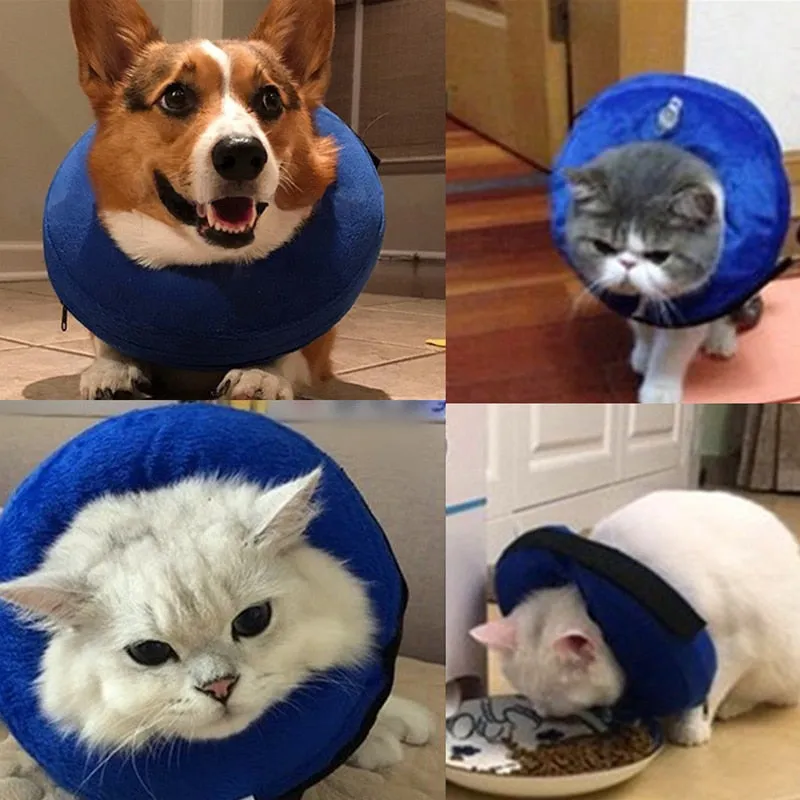 Dogs Post Surgery Collar Protective Inflatable Puppy Cats Pet Recovery Soft Blow Up Ring Elizabethan Collar Anti Bite Anti Scratch