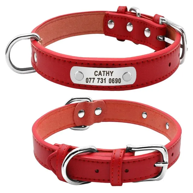 Durable Personalized Leather Padded Dog Collar - 4 Sizes