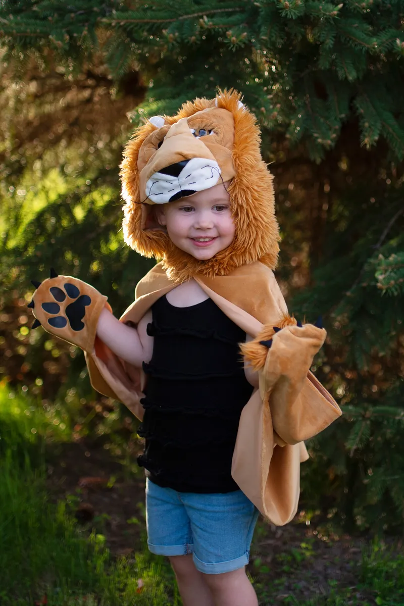 Great Pretenders Storybook Lion Cape, Size 4-6