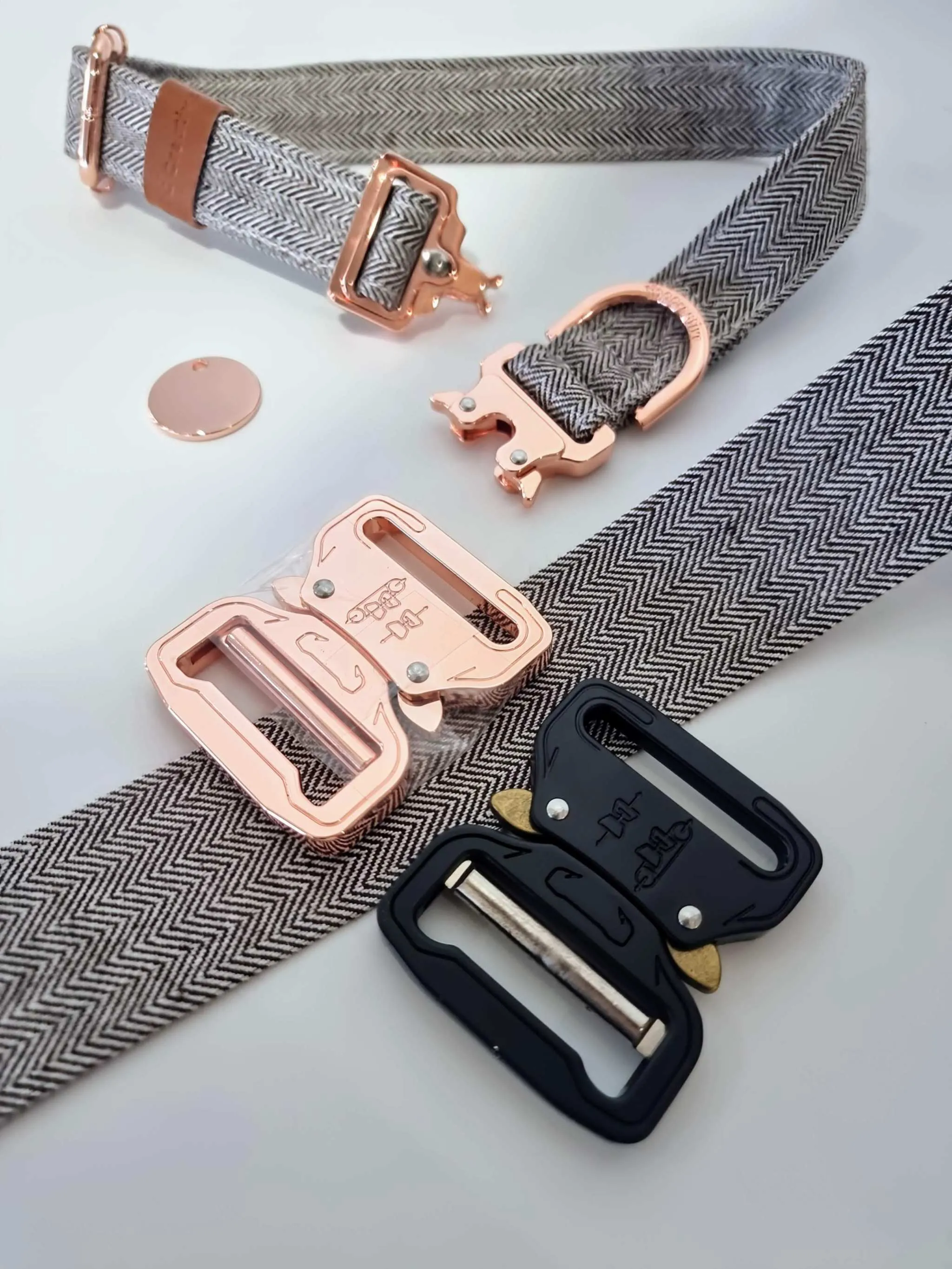 Herringbone buckle dog collar