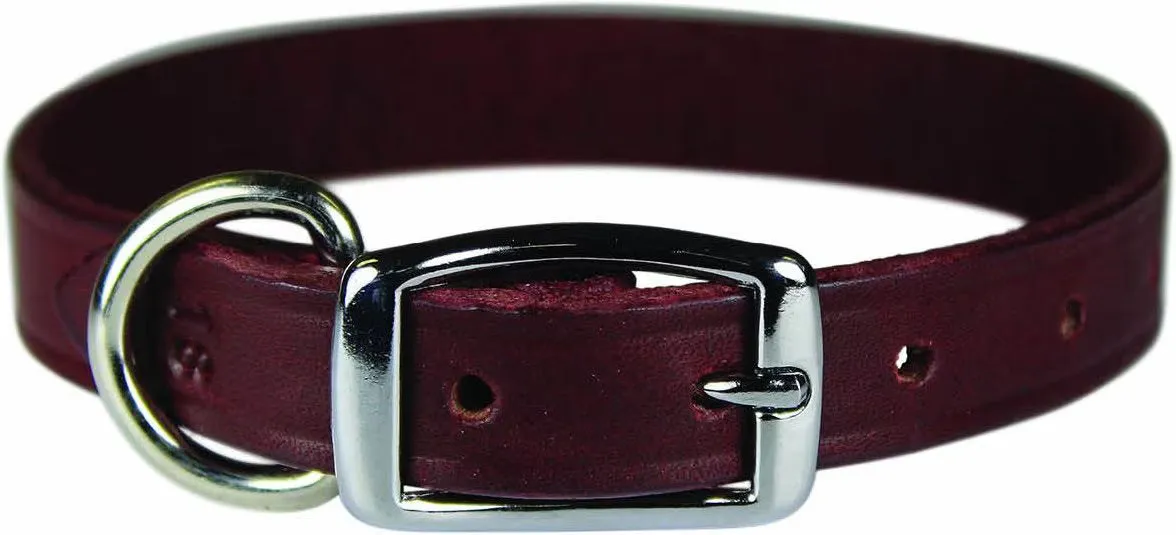 Omnipet Latigo Stitched Collar For Dogs