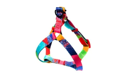 Pickles Rainbow Dreams Harness