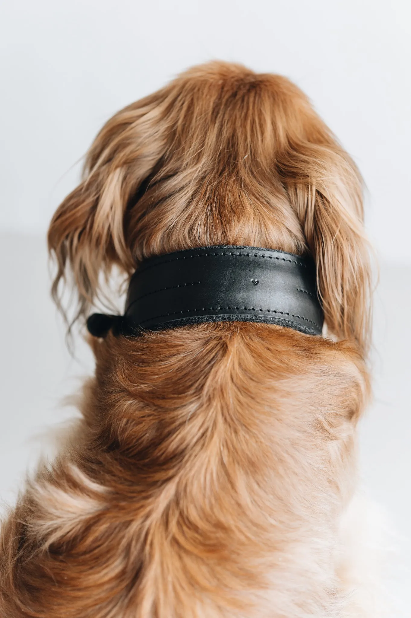 Pine Leather Dog Collar