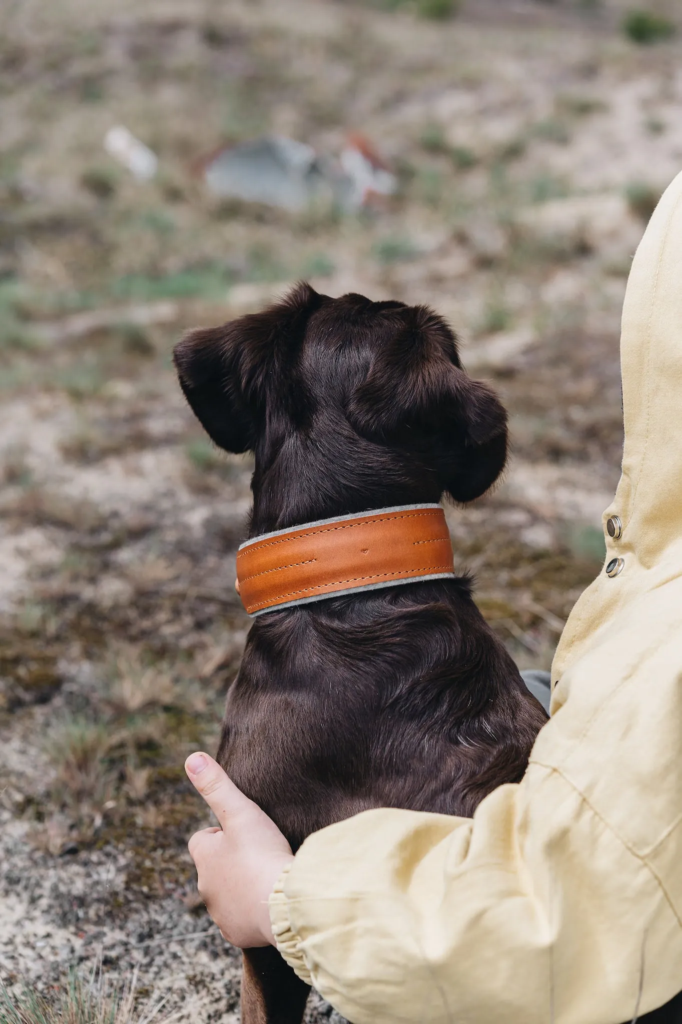 Pine Leather Dog Collar