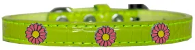 Pink Daisy Widget Croc Dog Collar Lime Green Size 16