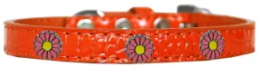 Pink Daisy Widget Croc Dog Collar Orange Size 16