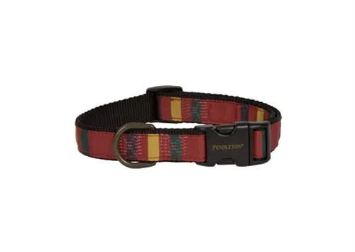 Rainier National Park Hiker Collar