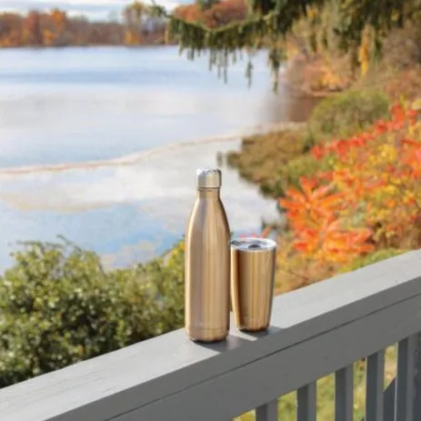 S'Well Insulated Drink Bottle - 500ml - Pyrite